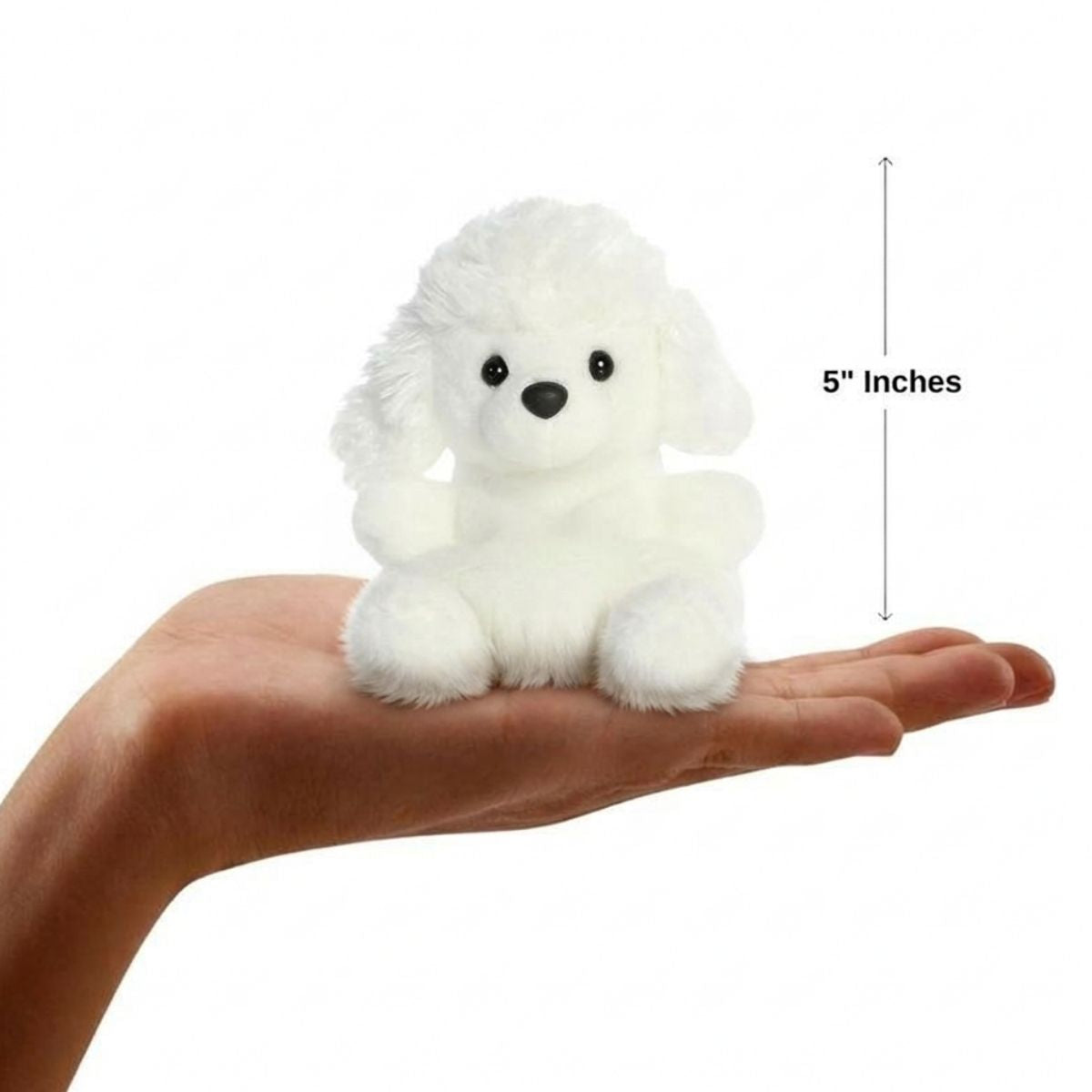 The miniature Lulu Poodle plush sitting balanced in an open human hand under a 5-inch height graphic indicator.