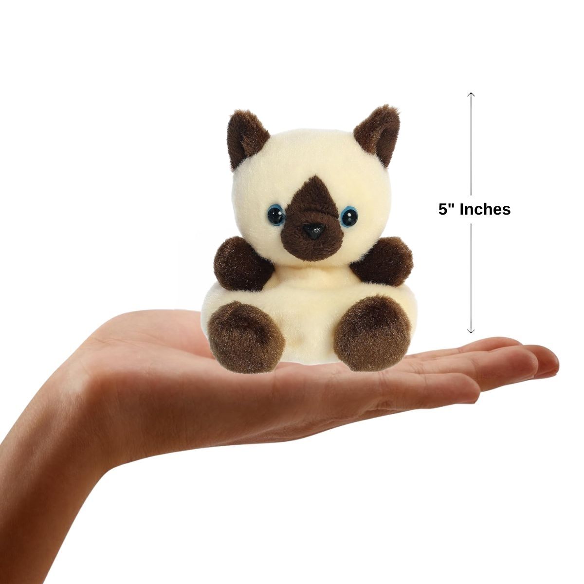 The miniature Dusty Siamese Kitty plush sitting inside an open human hand displaying a 5-inch height indicator graphic.