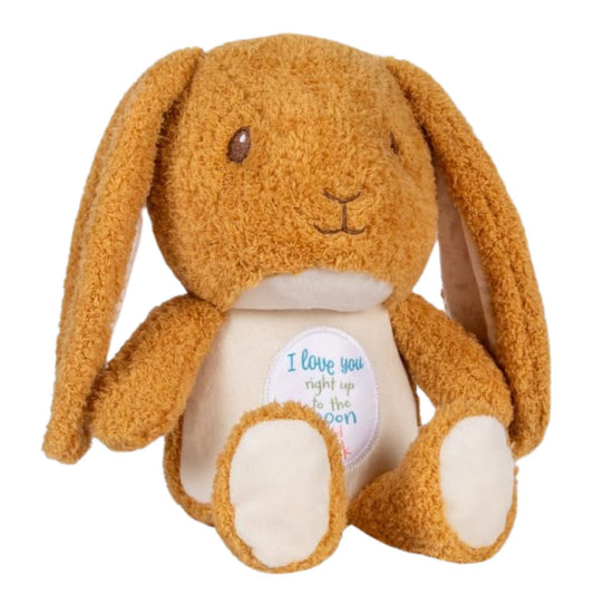 Guess How Much I Love You Nutbrown Hare Cuteeze 12 Inch Collectible Stuffed Animal Plush Toy
