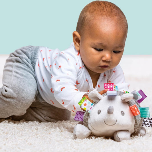 Mary Meyer Taggies 12" Inch Stuffed Animal Activity Toy, Heather Hedgehog