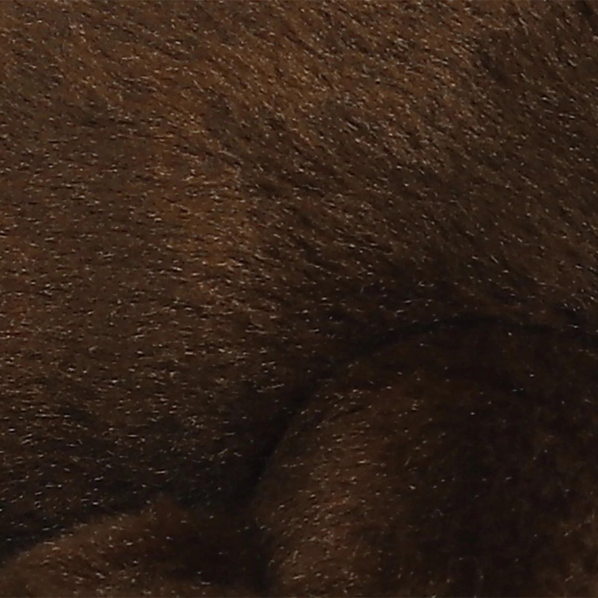 Aurora® Mini Flopsie™ California Sea Lion™ 8 Inch Stuffed Animal Plush