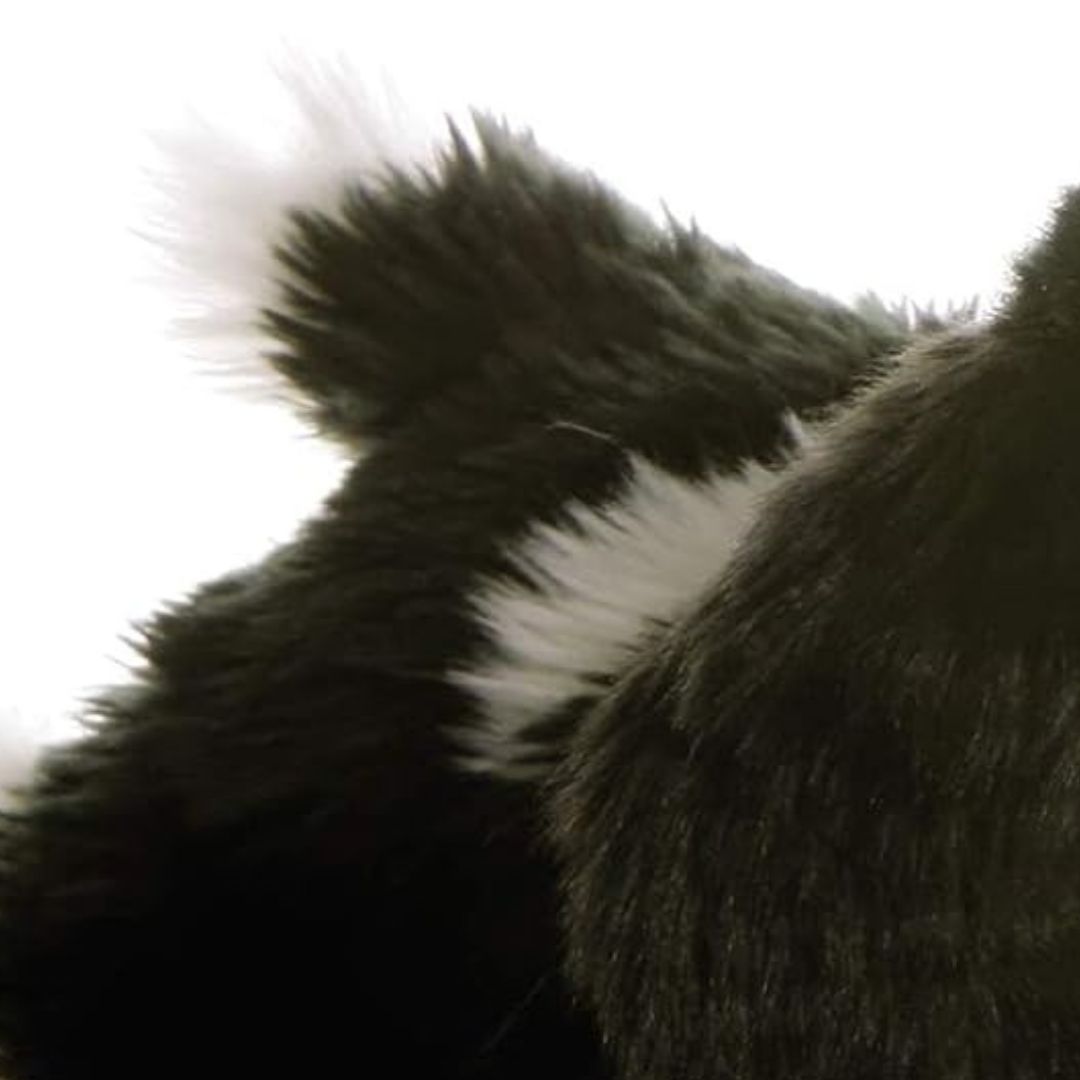 Close-up of the back and tail of the Charles Spaniel plush, showing the soft black and white fur textures.