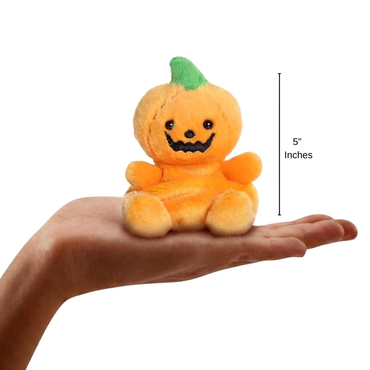 The miniature Squashley Pumpkin Head plush balanced in an open human hand under a 5-inch height graphic indicator.