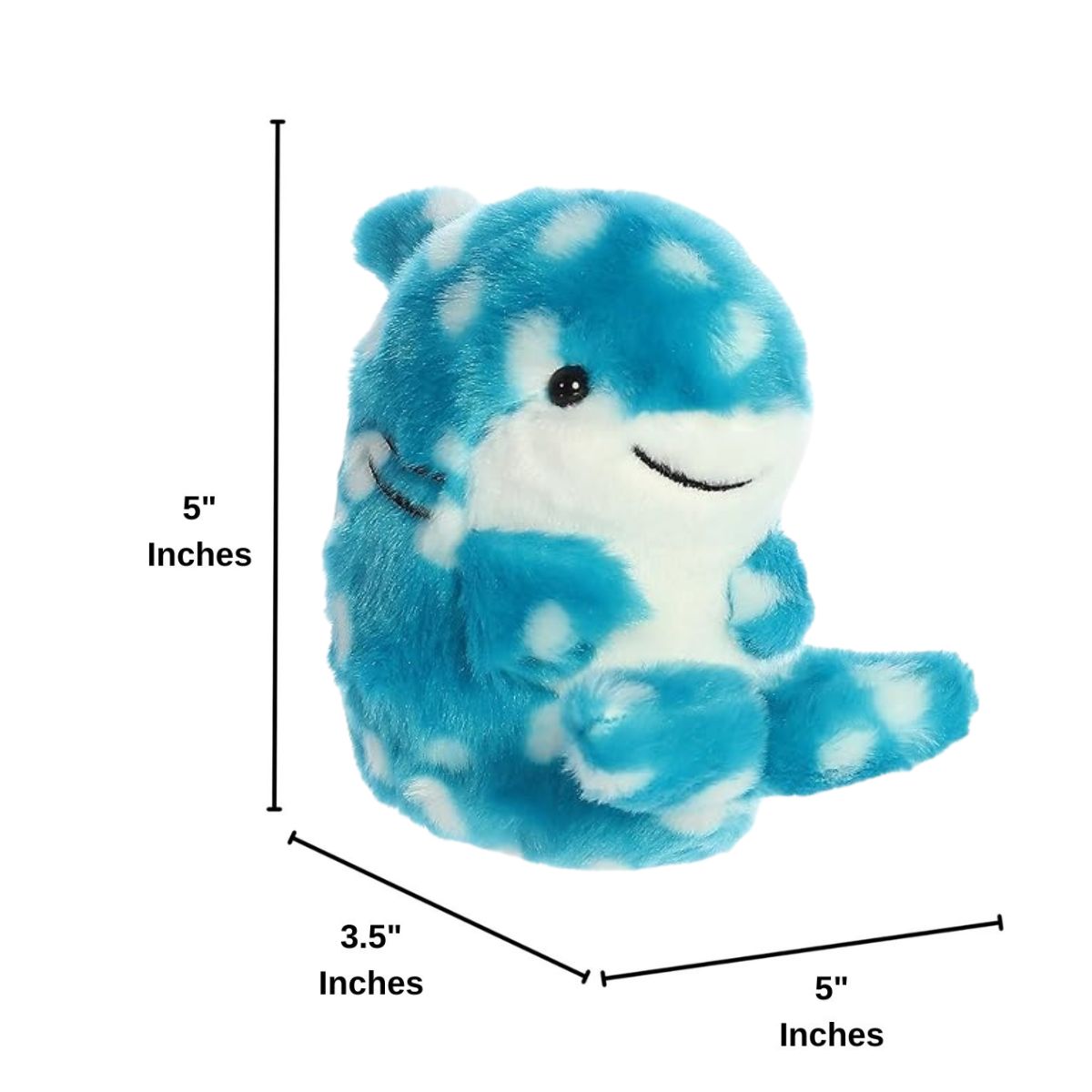 Dimension graphic showing the Aurora Rolly Pet Willa Whale Shark sitting upright with measurement lines indicating it is 5 inches tall and 3.5 inches wide.