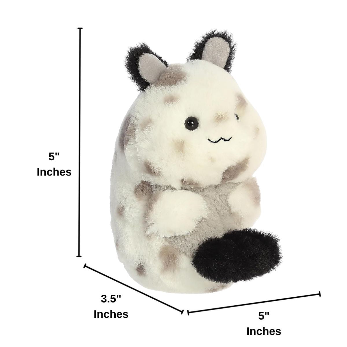 Dimension graphic showing the Aurora Rolly Pet Serendipity Sea Bunny sitting upright with measurement lines indicating it is 5 inches tall and 3.5 inches wide.