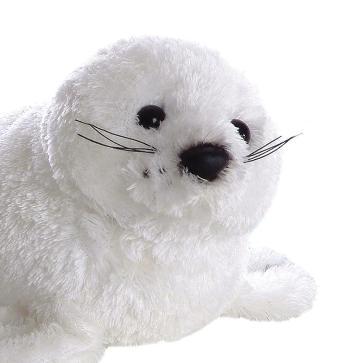 Close-up front view of the harp seal's face showing its sweet dark eyes, black nose, and realistic whiskers.