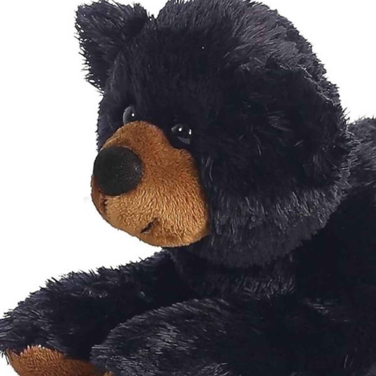 Close-up view of the black bear's face highlighting its soft brown muzzle, sweet black nose, and dark eyes.