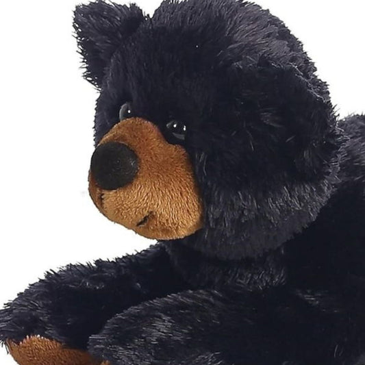 Close-up view of the black bear's face highlighting its soft brown muzzle, sweet black nose, and dark eyes.
