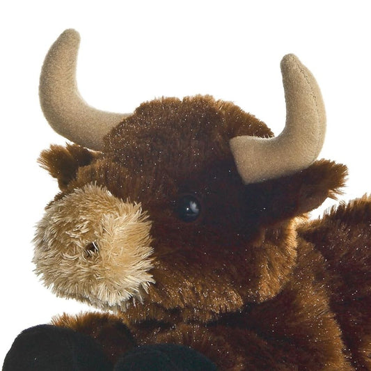 Close-up view of the bull's face highlighting its fuzzy tan horns, cream muzzle, and sweet dark eyes.