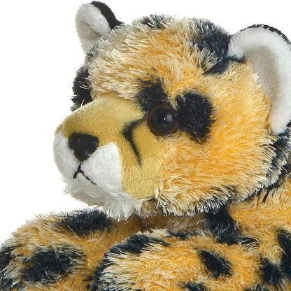 Close-up view of the cheetah's face highlighting its signature black tear marks, white muzzle, and sweet dark eyes.