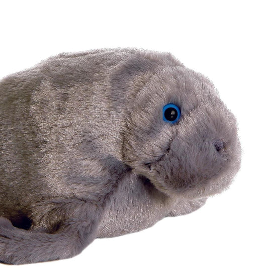 Close-up view of the manatee stuffed animal's face highlighting its sweet snout and striking bright blue eyes.