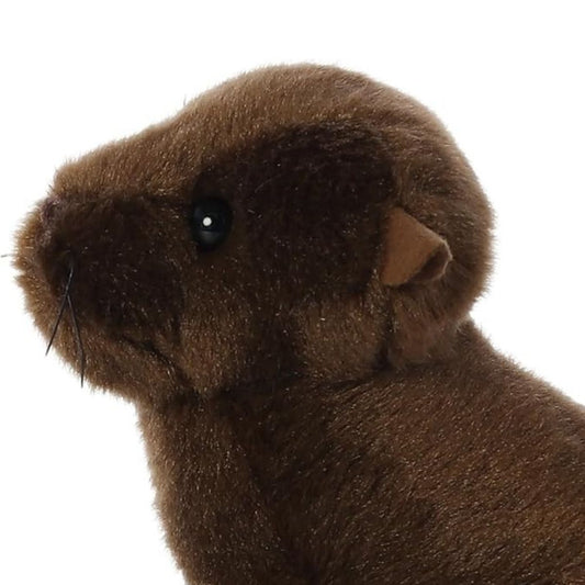 Close-up view of the soft sea lion plush highlighting its dark eyes, small ear flaps, and black whiskers.