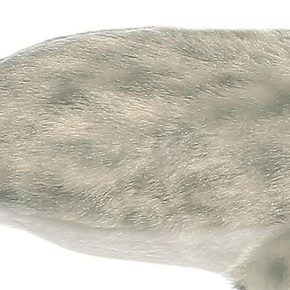 Detailed close-up of the plush fabric showing the soft, mottled grey and white fur textures of the narwhal.