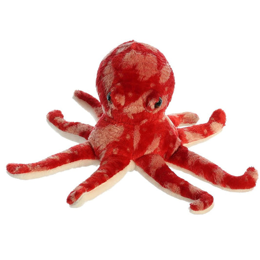 Straight-on front view of Pacy the Octopus showing his eight sprawling tentacles and large, friendly eyes.