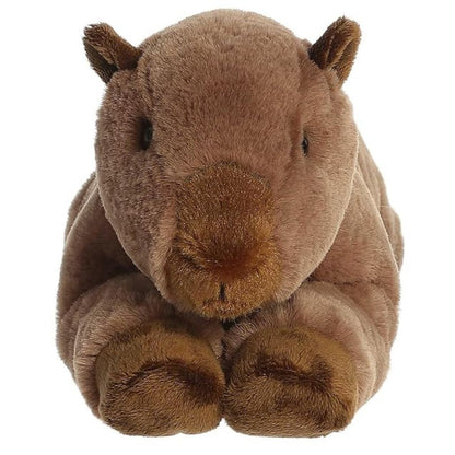 Straight front view of the brown capybara plush toy highlighting its dark eyes, small ears, and dark brown front paws.