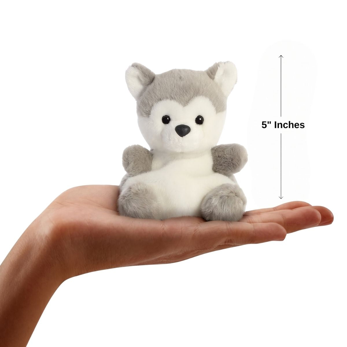 The miniature Busky Husky plush sitting balanced in an open human hand under a 5-inch height graphic indicator.