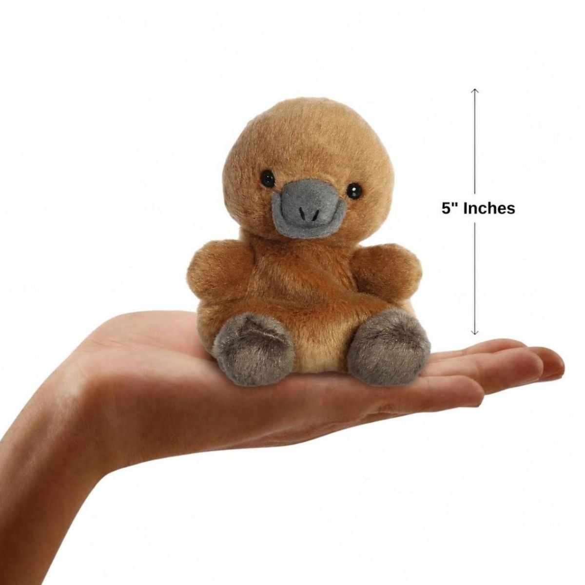 The miniature Patty Platypus plush sitting balanced in an open human hand under a 5-inch height graphic indicator.