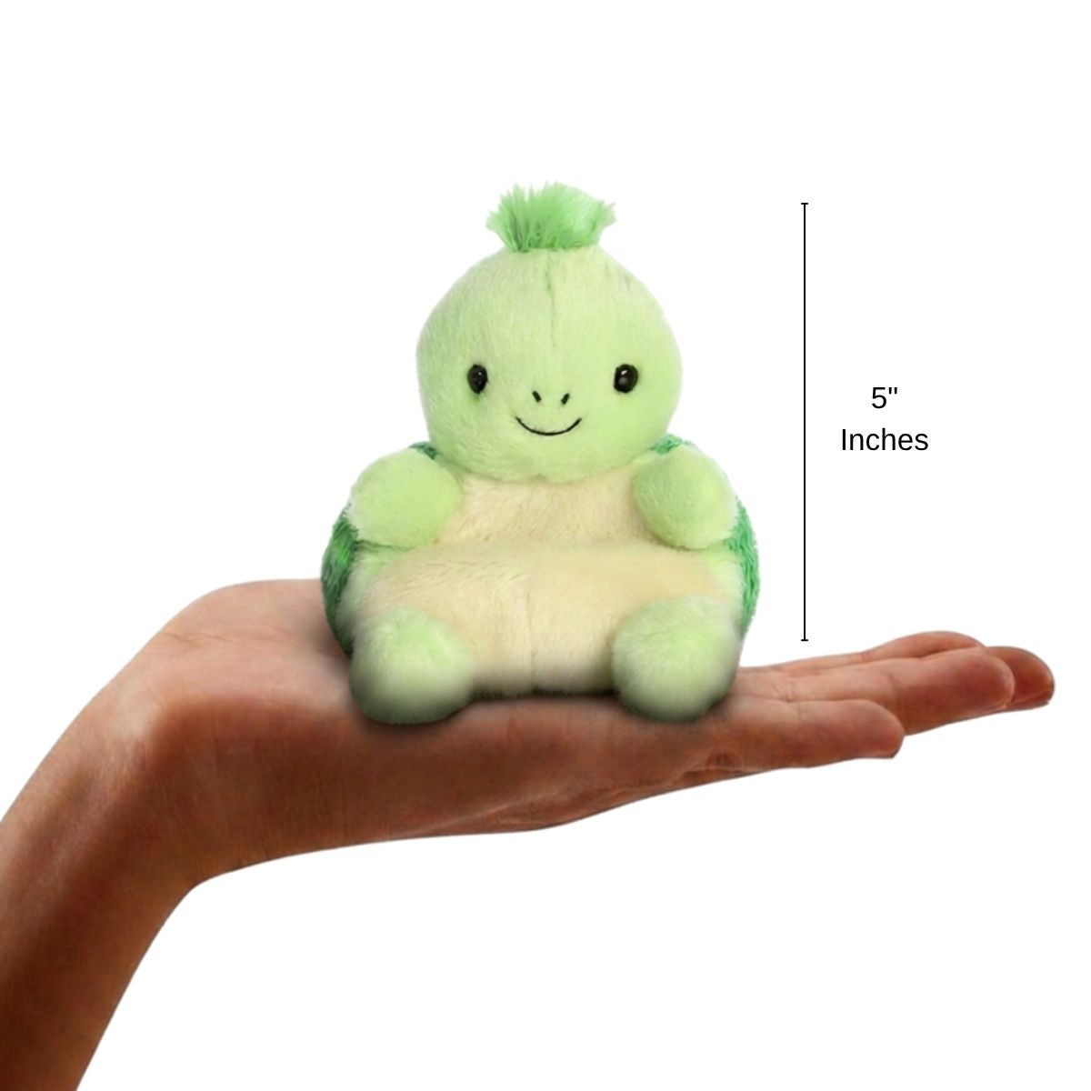 The miniature Tiny Turtle plush sitting balanced in an open human hand under a 5-inch height graphic indicator.