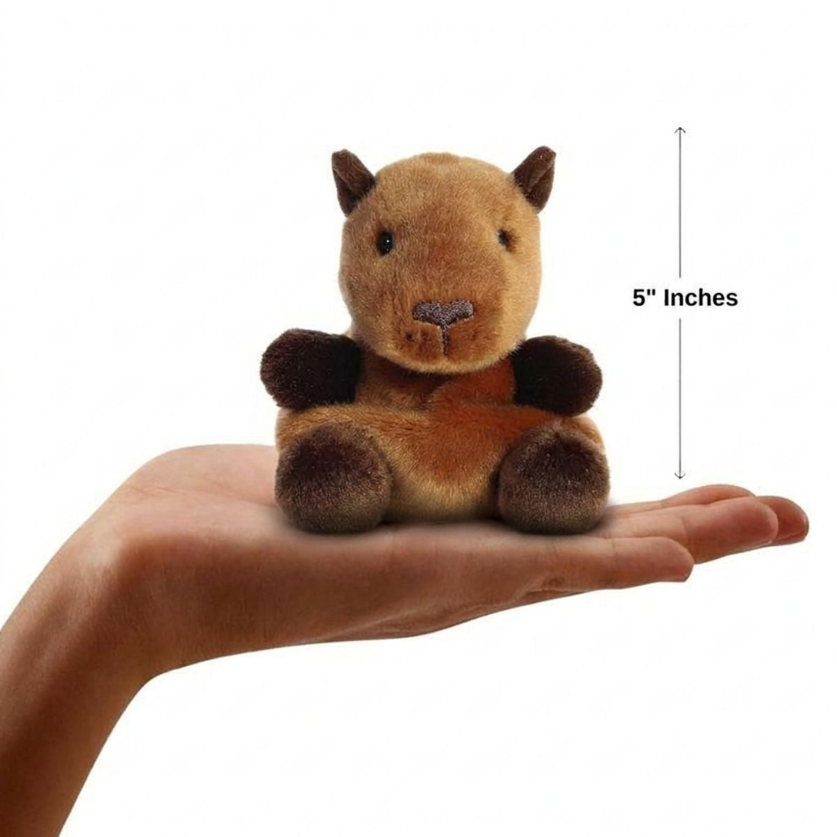 The miniature Sid Capybara plush sitting balanced in an open human hand under a 5-inch height graphic indicator.