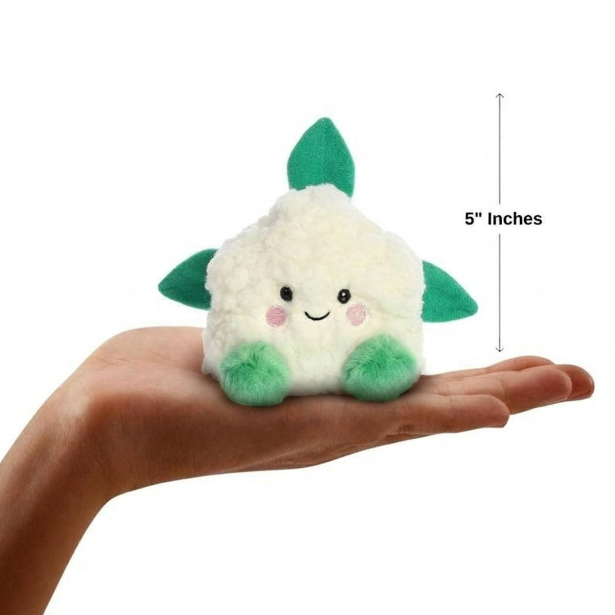 The miniature Kelly Cauliflower plush sitting balanced in an open human hand under a 5-inch height graphic indicator.