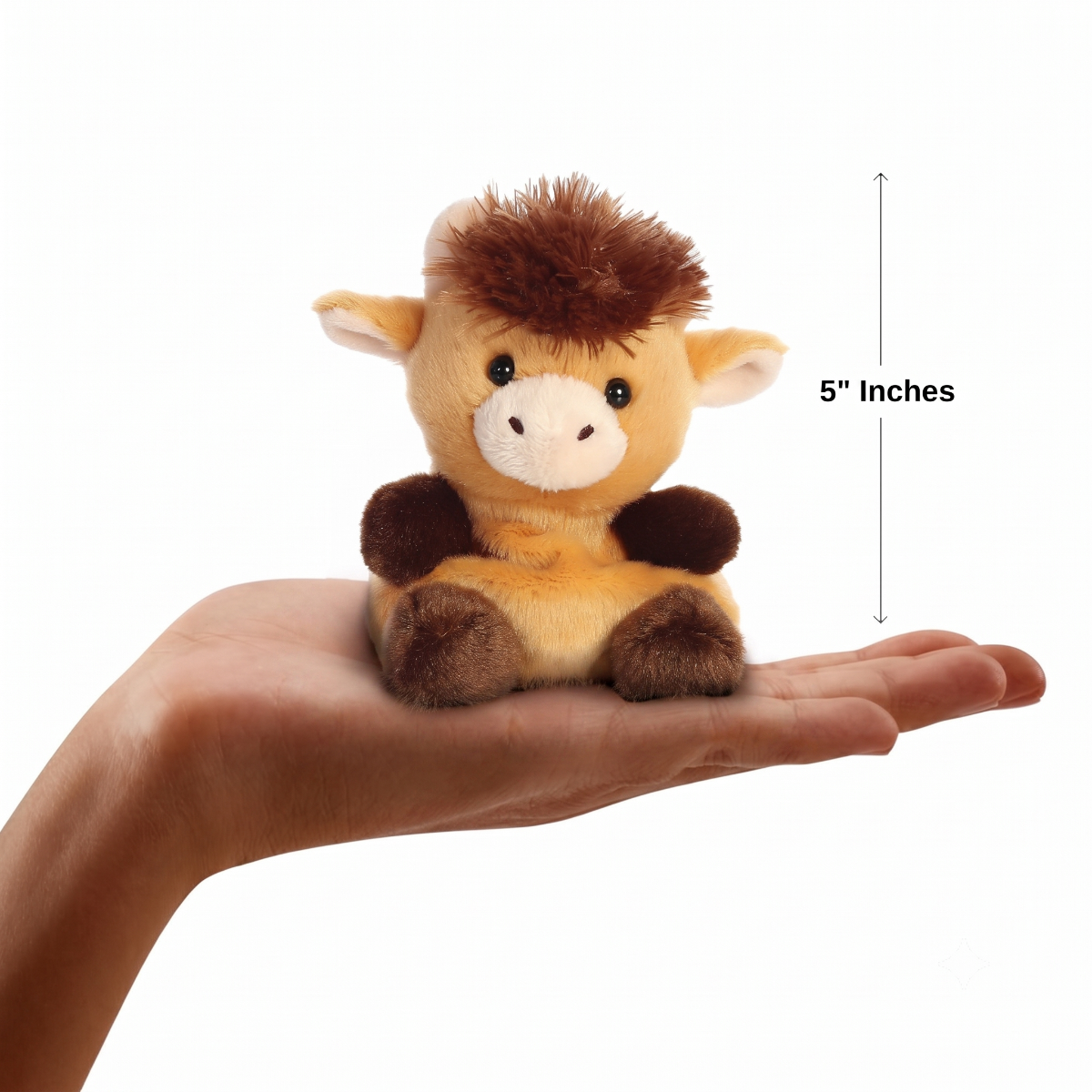 The miniature Hubert Highland Cow plush sitting balanced in an open human hand under a 5-inch height graphic indicator.