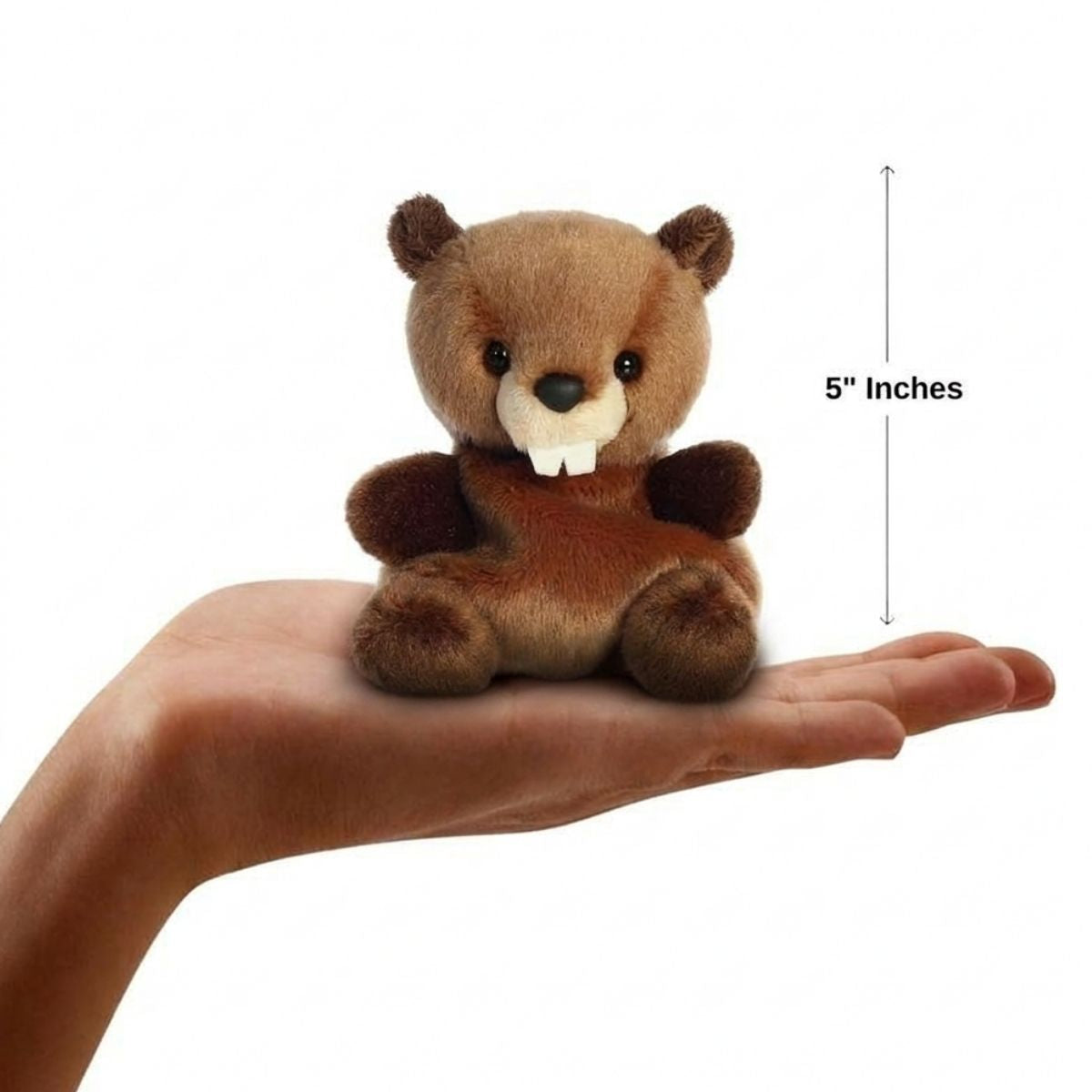 The miniature Chewy Beaver plush sitting balanced in an open human hand under a 5-inch height graphic indicator.