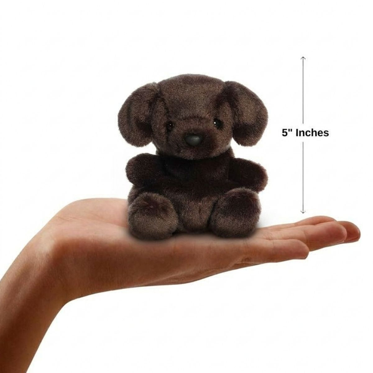Sizing graphic for the Aurora Palm Pals Sienna Chocolate Lab plush showing it sitting perfectly in the palm of a hand, indicating a total height of 5 inches.