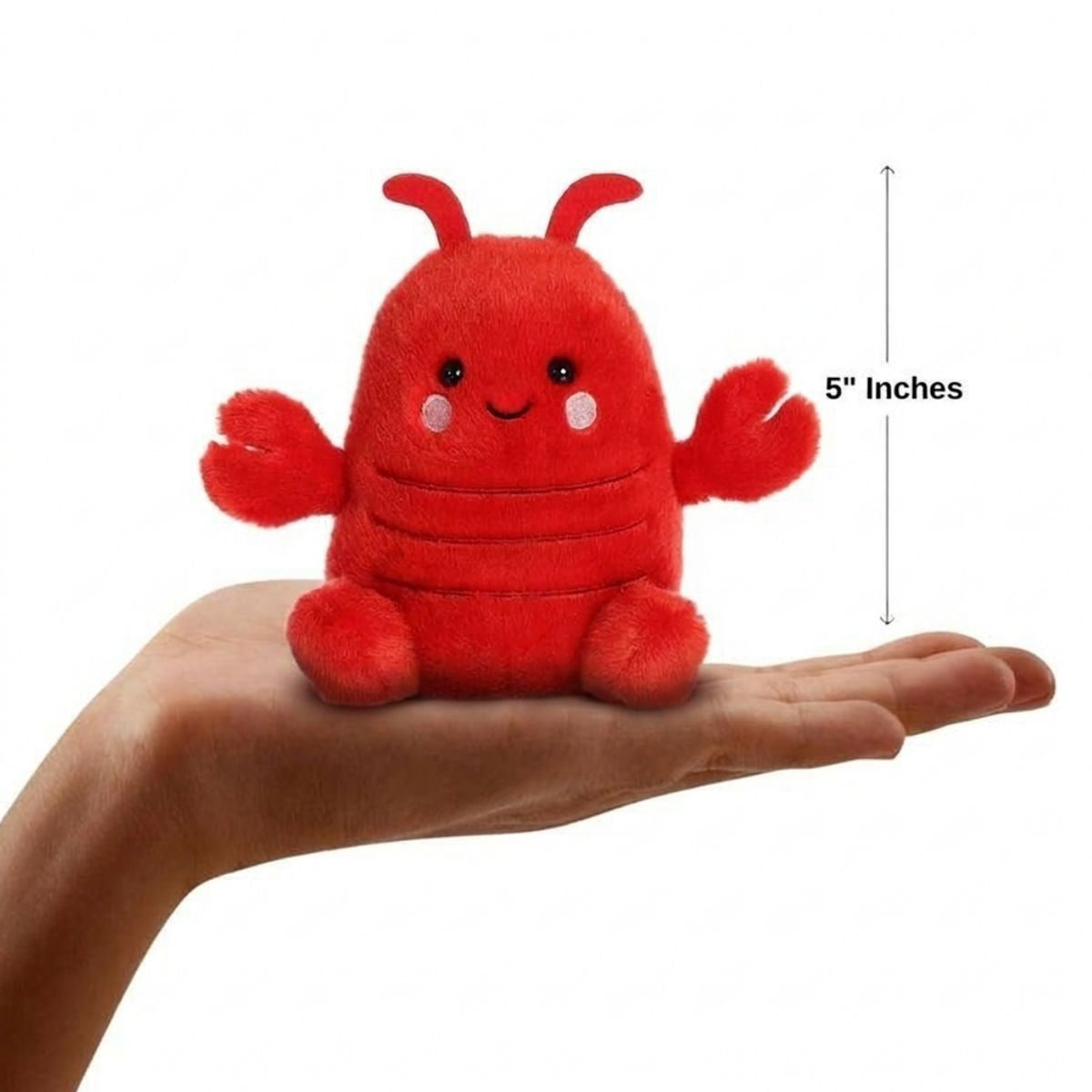 The miniature Clawford Lobster plush sitting balanced in an open human hand under a 5-inch height graphic indicator.
