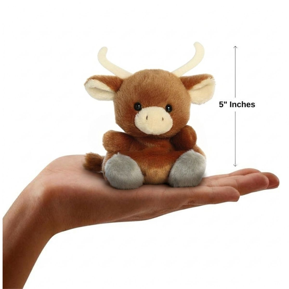 The miniature Landon Longhorn plush sitting balanced in an open human hand under a 5-inch height graphic indicator.