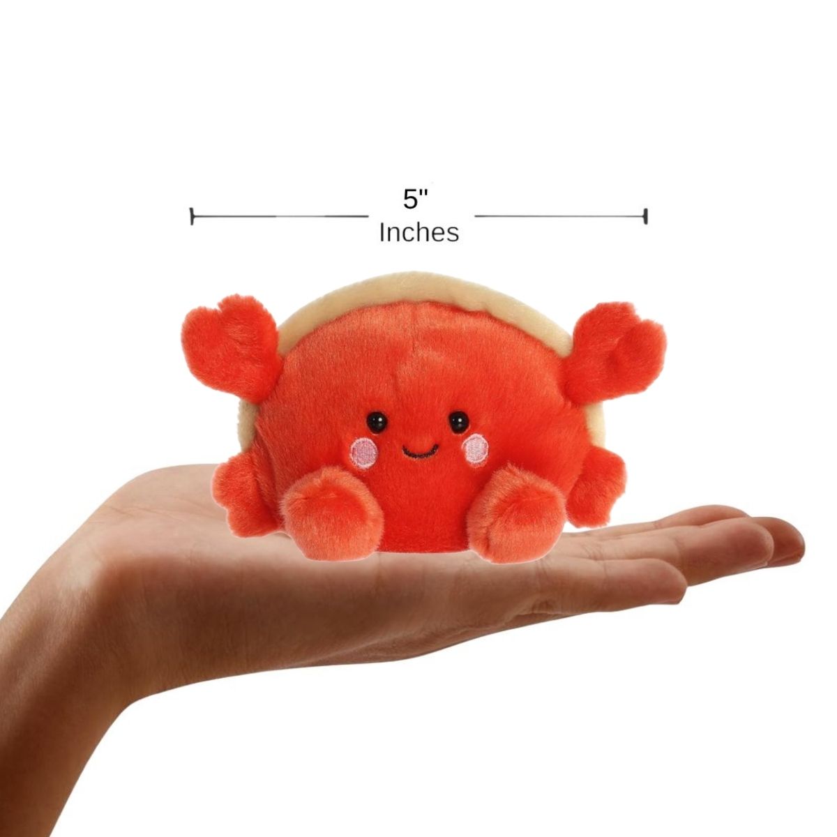 The miniature Tide Hermit Crab plush sitting inside an open human hand displaying a 5-inch width and height indicator graphic.