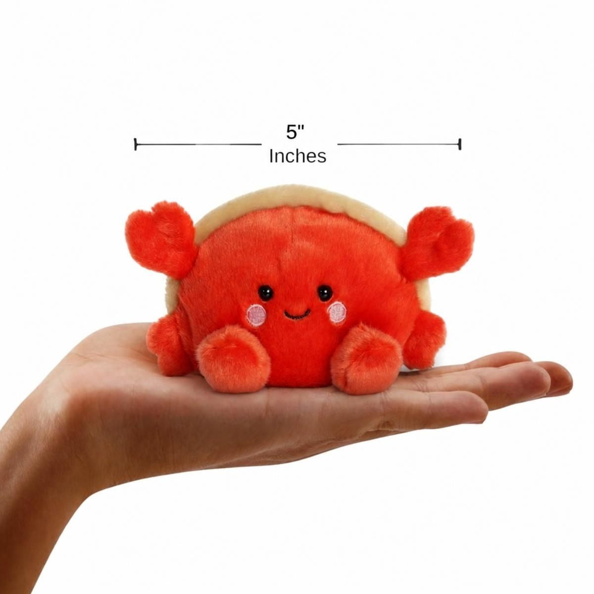 The miniature Tide Hermit Crab plush sitting inside an open human hand displaying a 5-inch width and height indicator graphic.