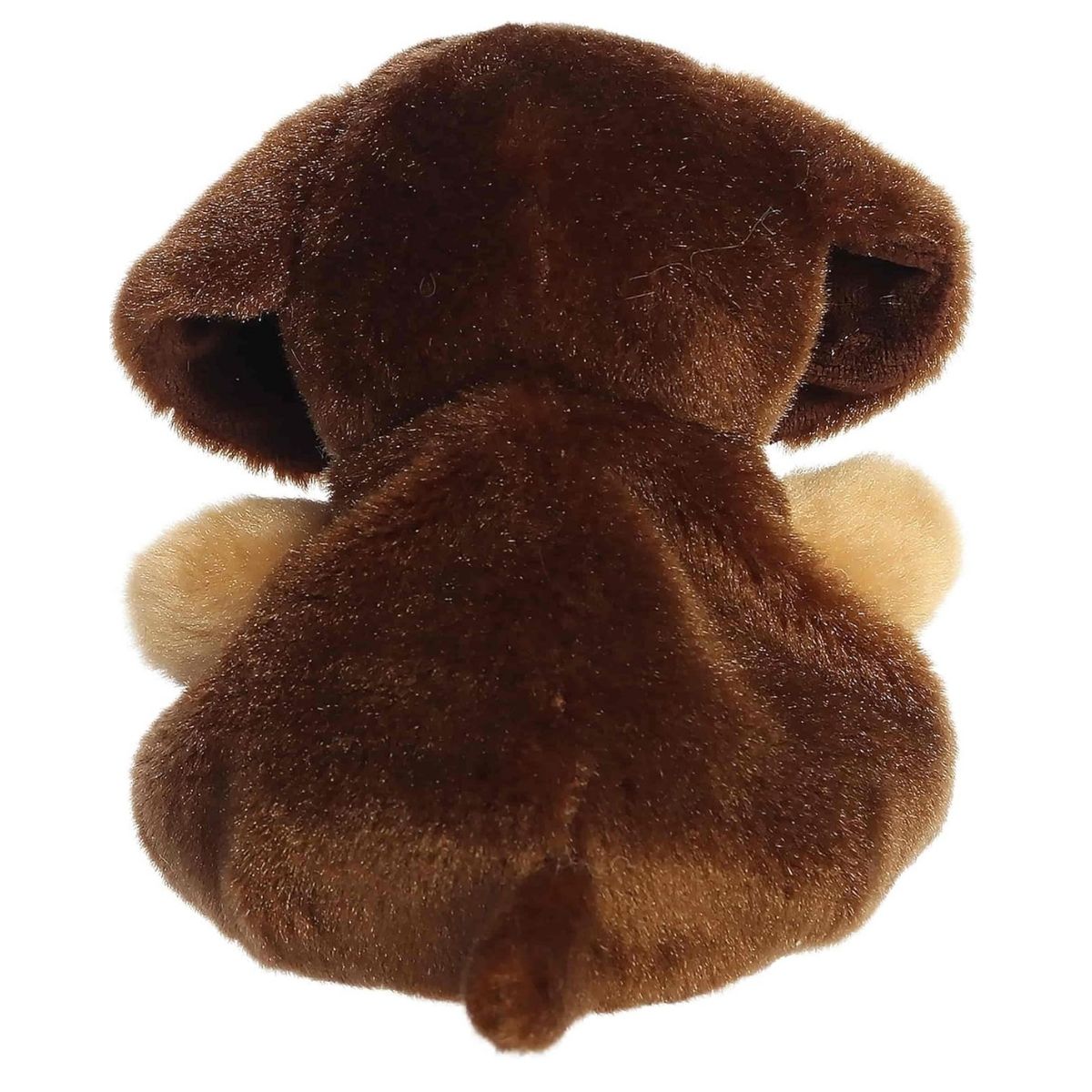 Back view of the dark brown dachshund plush highlighting his soft texture and tiny little tail.