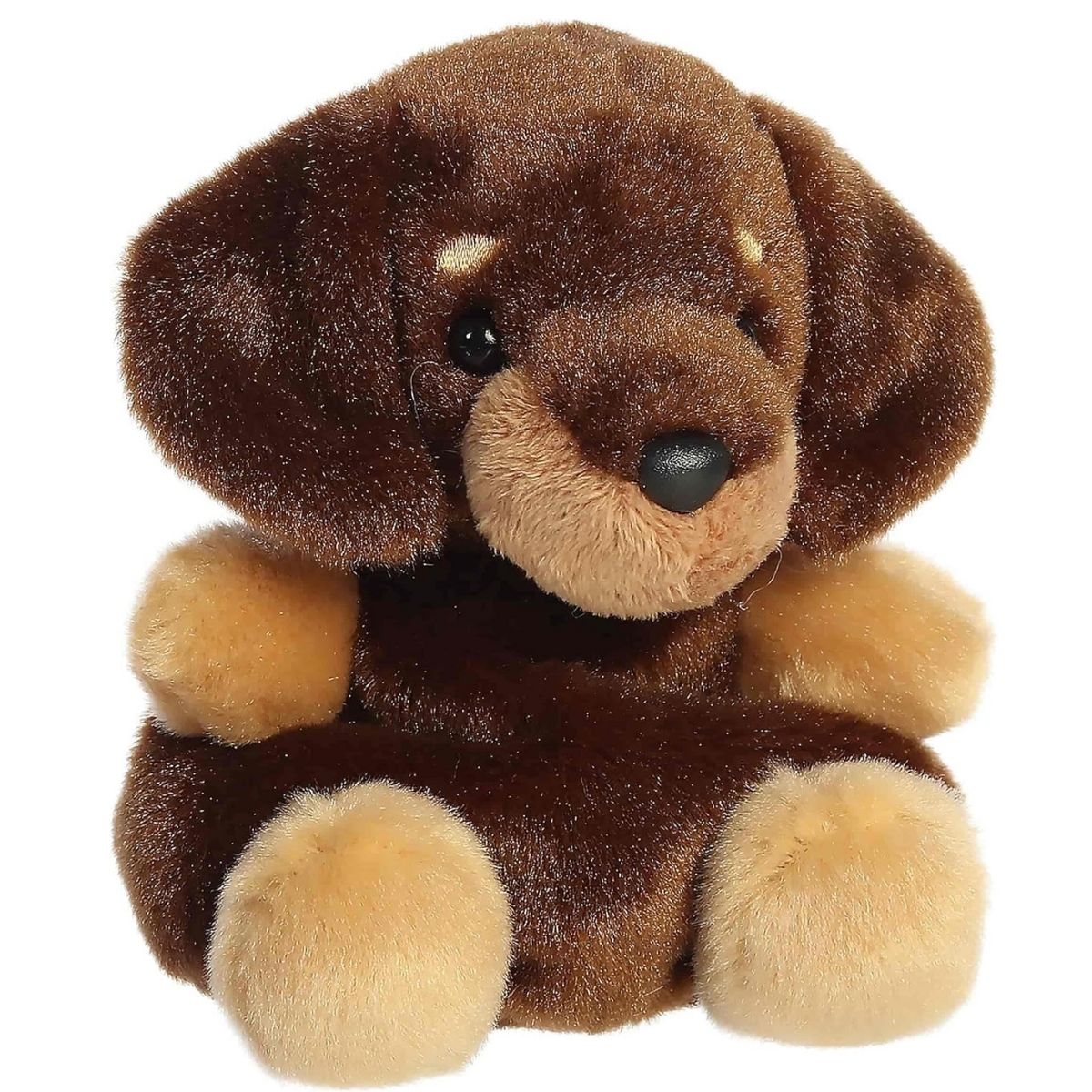 Front-angled view of the Aurora Palm Pals Houdini Dachshund 5-inch stuffed animal featuring a dark brown coat, tan paws, and floppy ears.