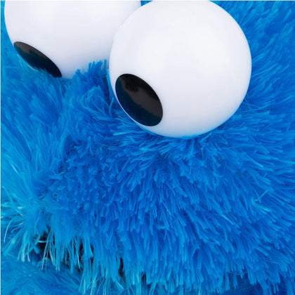 Sesame Street Cookie Monster 12