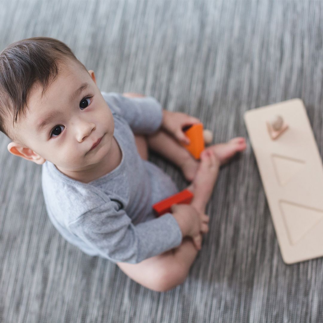 PlanToys® Triangle Matching 4 Piece Toddler Puzzle Puzzle