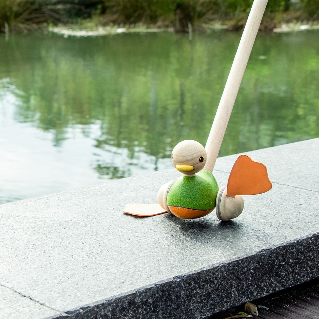 The brightly colored PlanToys wooden duck in motion, perfectly designed to encourage early crawling and active play.