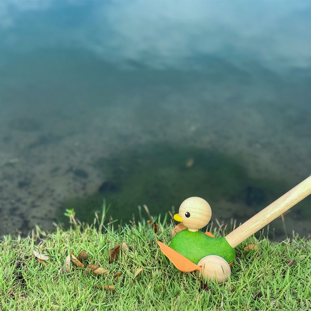 Lifestyle view of the durable PlanToys push along duck ready for hands-on, screen-free toddler fun.
