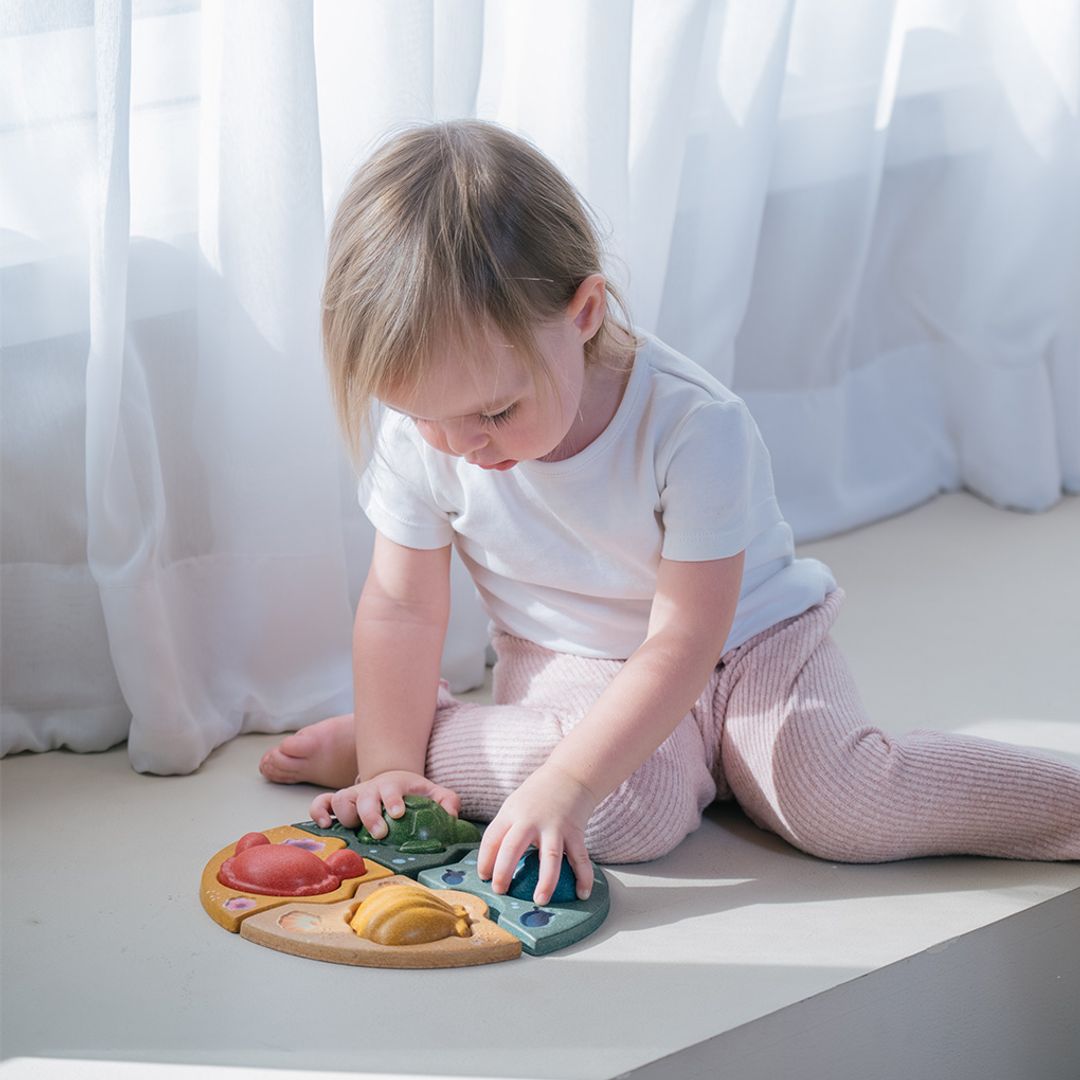 PlanToys® Marine Wooden Sealife Puzzle (Whale, Crab, Turtle and Shell)