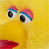 Sesame Street Big Bird 14