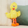 Sesame Street Big Bird 14