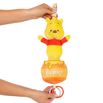 Disney Winnie the Pooh 12 Inch On-the-Go Pulldown Soft Activity Ziggle Teether Toy