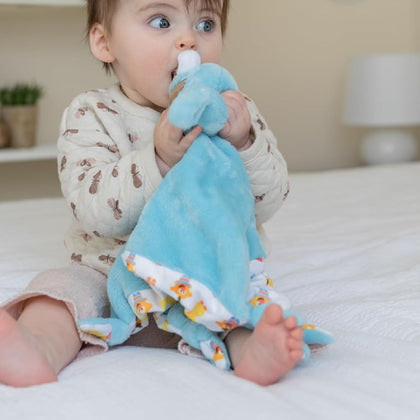 Sesame Street Cookie Monster Blanky 14