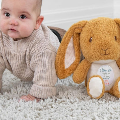 Guess How Much I Love You Nutbrown Hare Cuteeze 12 Inch Collectible Stuffed Animal Plush Toy