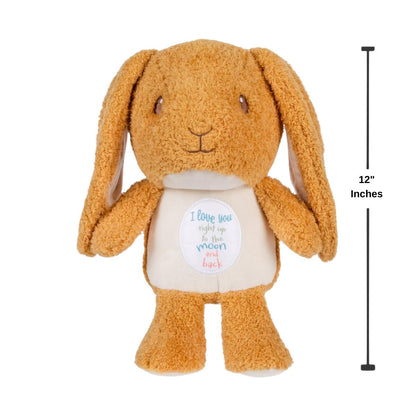 Guess How Much I Love You Nutbrown Hare Cuteeze 12 Inch Collectible Stuffed Animal Plush Toy