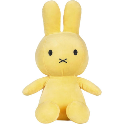 Color your World with Miffy 14