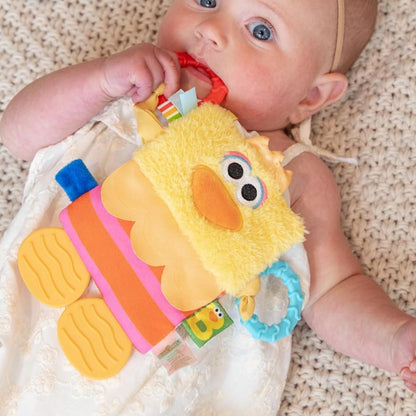 Sesame Street Big Bird Tug & Tag 10" Inch Plush Sensory Soft Activity Teether Toy