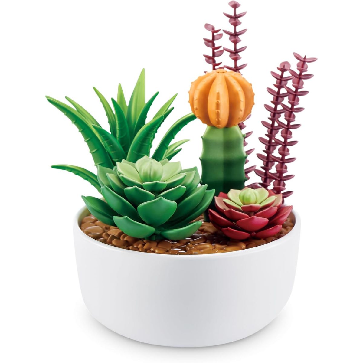 A crisp macro photograph of an assembled miniature succulent arrangement sitting in a small white circular pot.