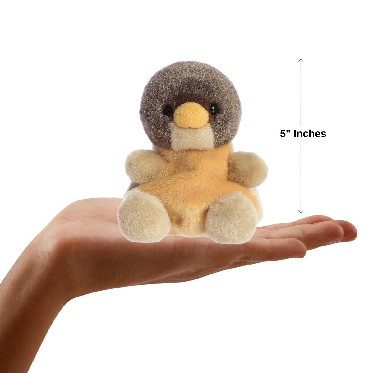 Dimension graphic showing the 5-inch Aurora Palm Pals Rudi Robin resting comfortably in a person's hand.