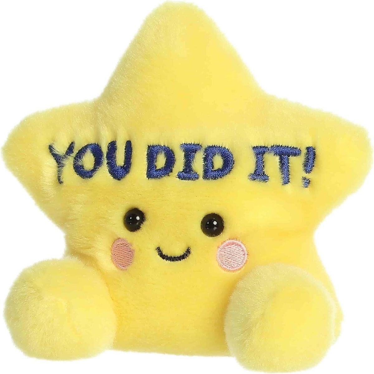 Angled front view of the smiling YOU DID IT plush star sitting happily on its little plush bottom.