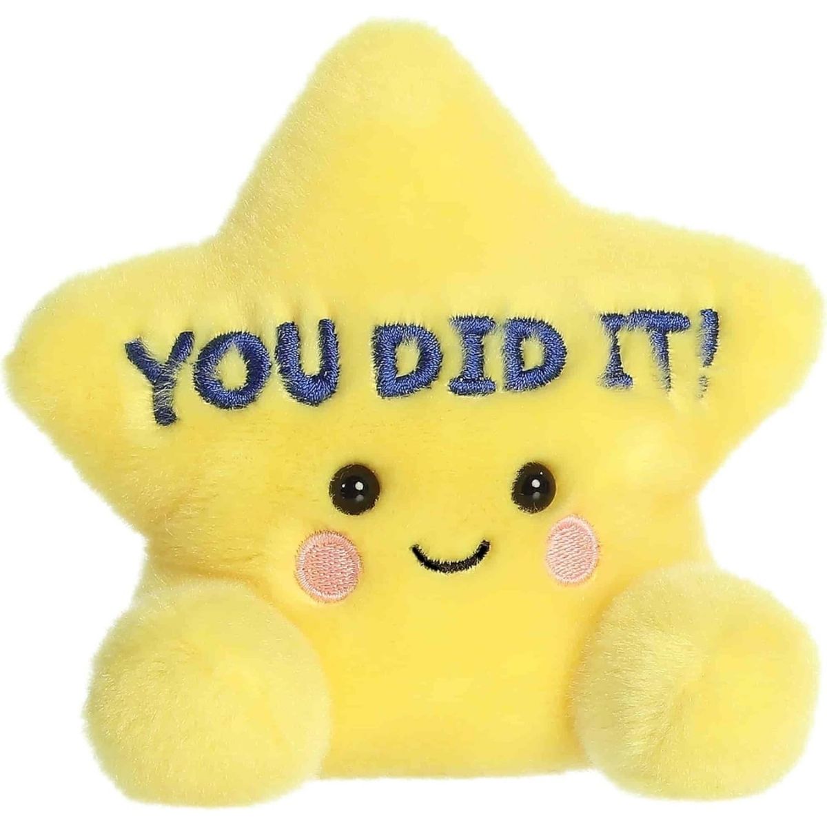 Straight front view of the sitting plush star showing the embroidered YOU DID IT text, black eyes, and rosy pink cheeks.